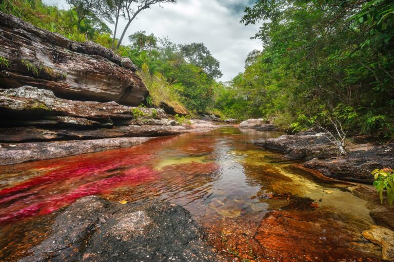 Guía Caño Cristales 2026: temporada, costos y cómo armar el viaje