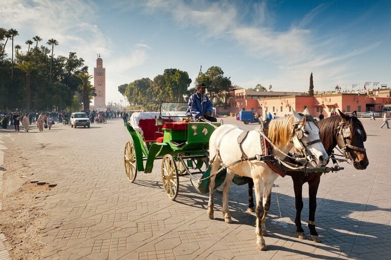 Los mercados más increíbles del mundo: de Marrakech a Bangkok