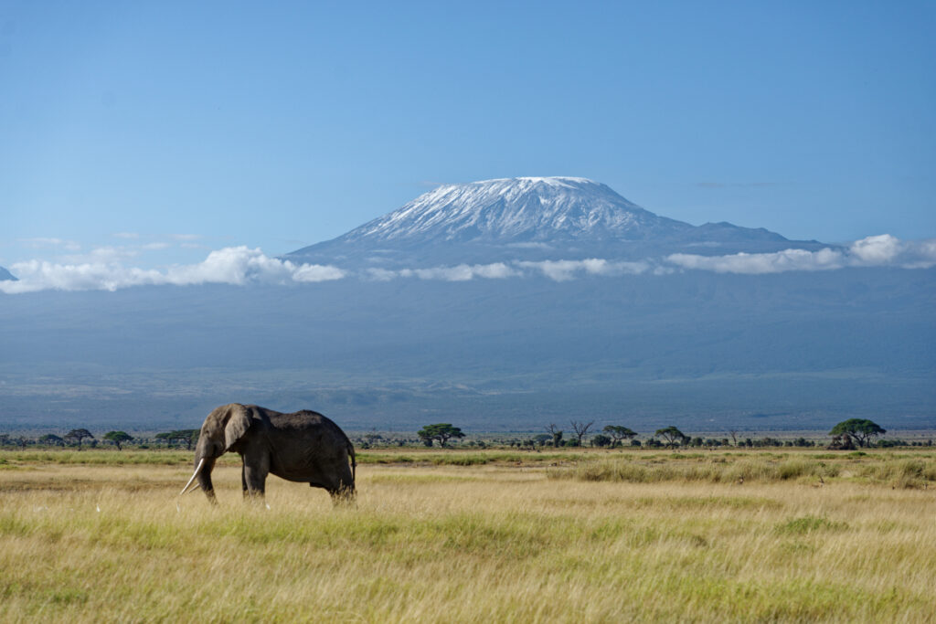Safari en África: Kenia y Tanzania, el viaje que se siente como otro planeta